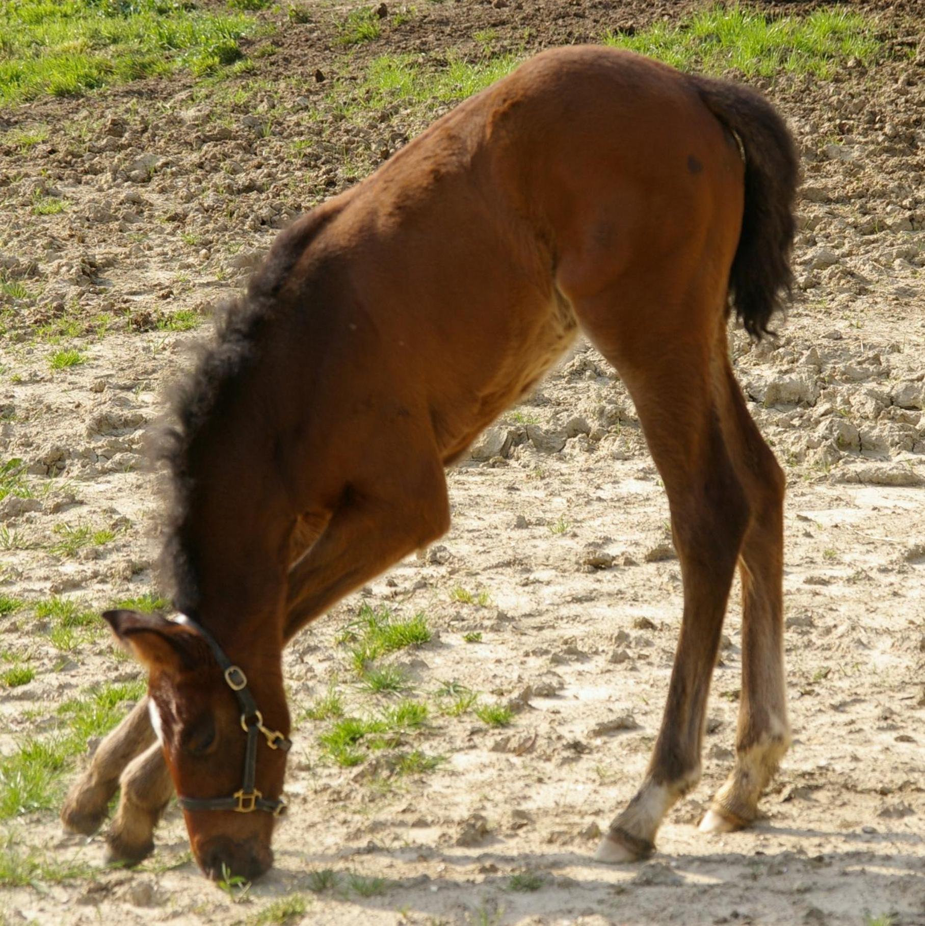 Santa Maria A Poneta Vila Barberino di Val dʼElsa Exterior foto
